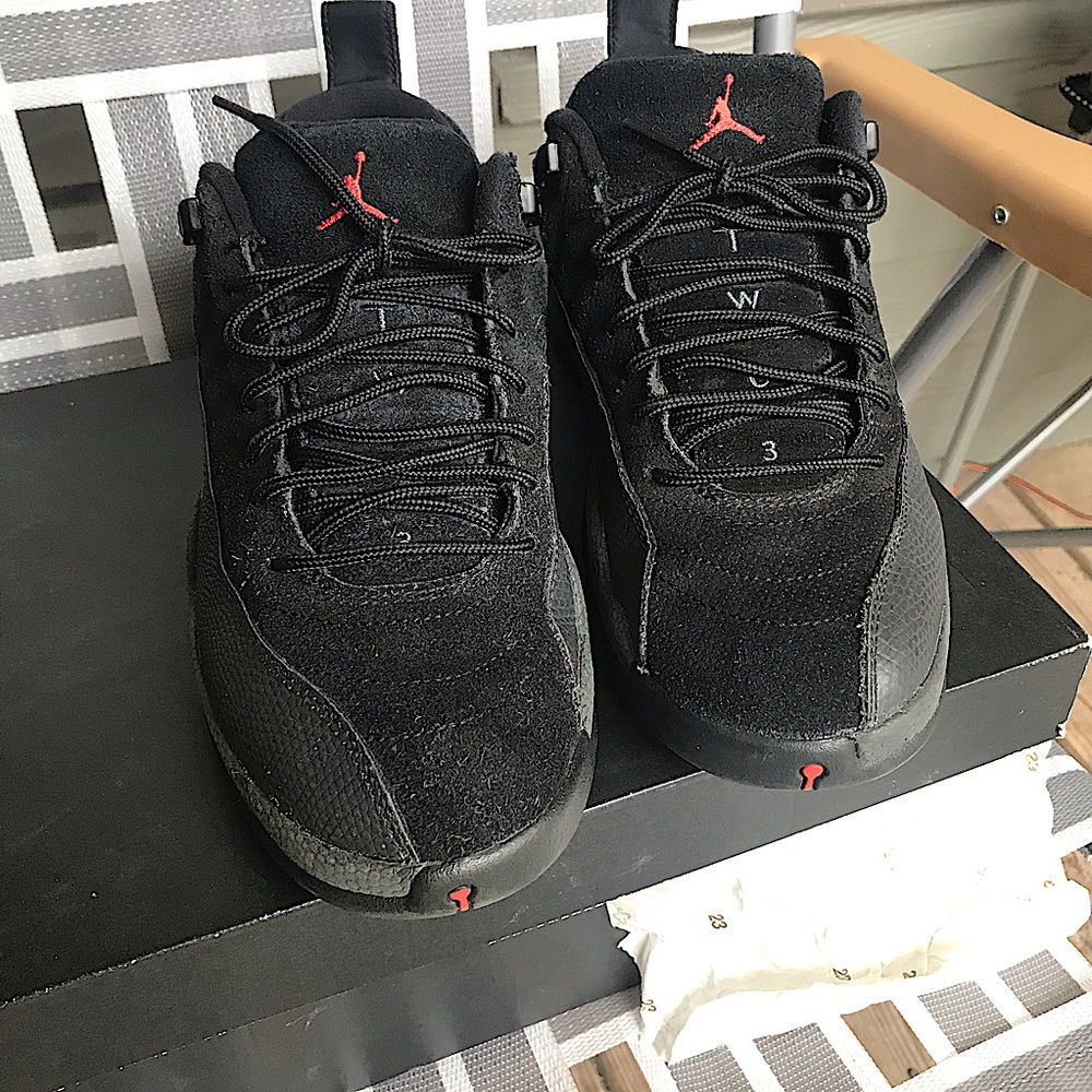 Air jordan retro 12s